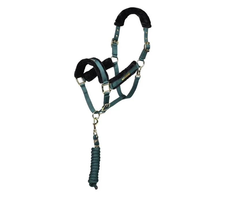 ARMA Logo Headcollar & Leadrope - Image 4