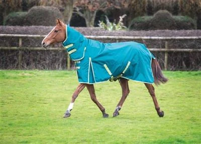 Bridleway Ontario 100g Combo Turnout Rug Green - Image 2