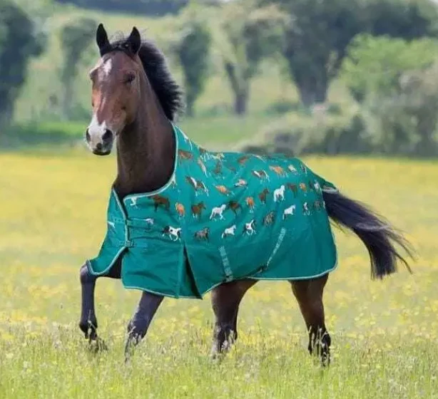 Bridleway Ontario 100g Turnout Horse Print