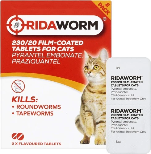 Chanelle RidaWorm Cat Tablets - 2 Tablets - Image 2