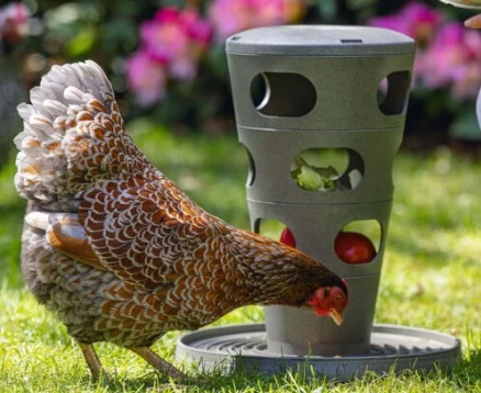 Chicken Feed Tower