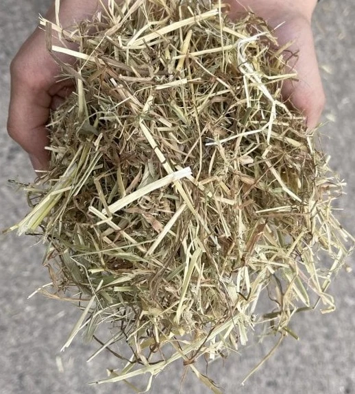 Fearns Farm Premium Hay 10.5kg - Image 4