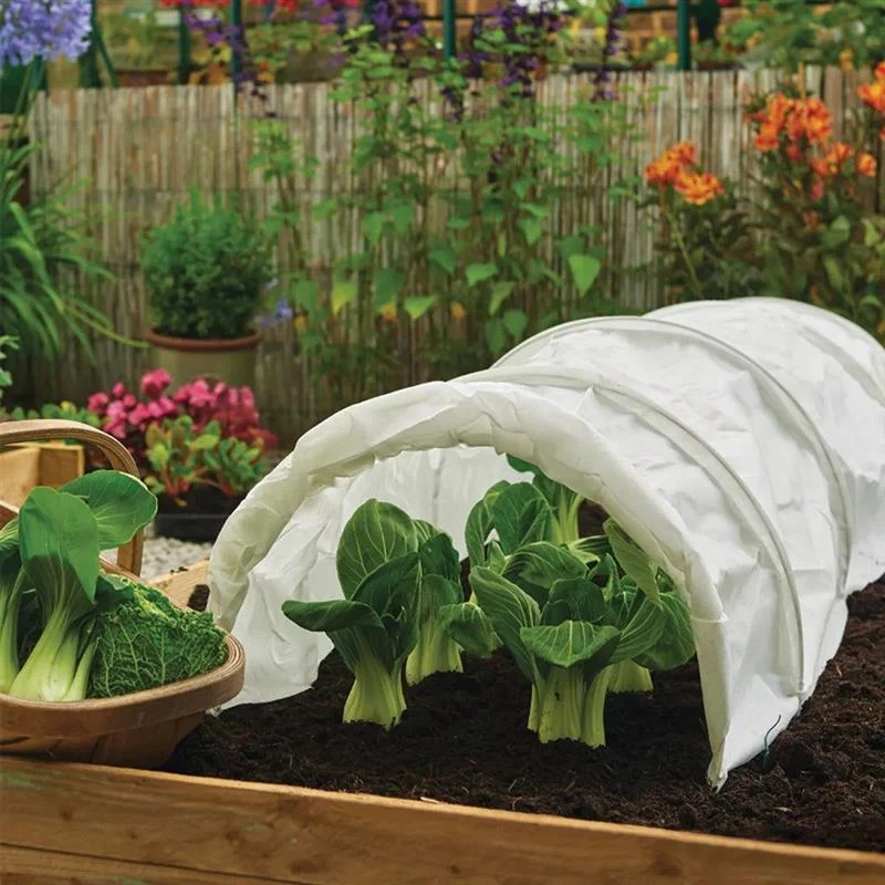 GI Frostgard Roll 8x1.5m