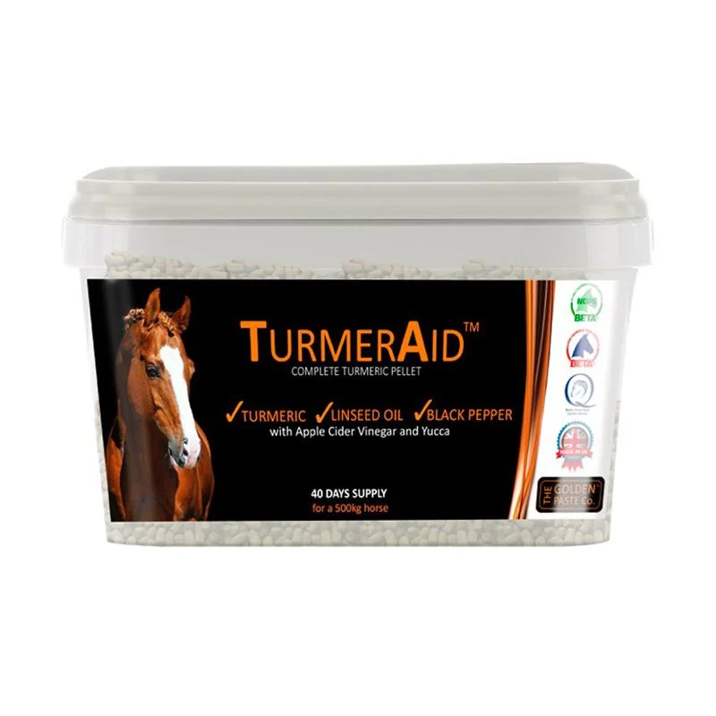 Golden Paste Co Turmeraid 2kg