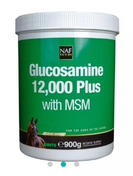NAF Glucosamine 12000 Plus with MSM