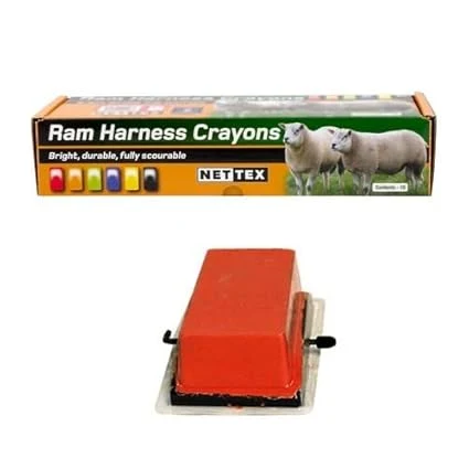Nettex Orange Raddle Crayon