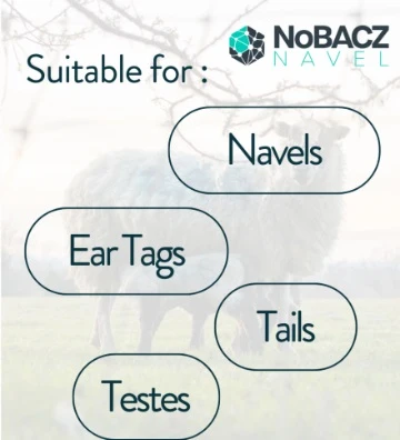 NoBACZ Navel Dip 500ml - Image 2