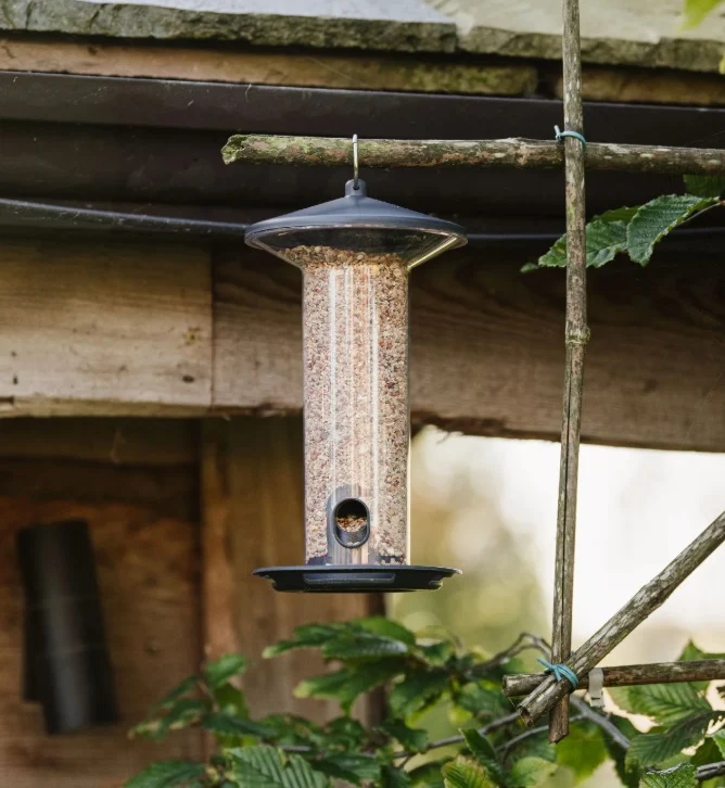 Peckish Funnel Seed Feeder - Image 3