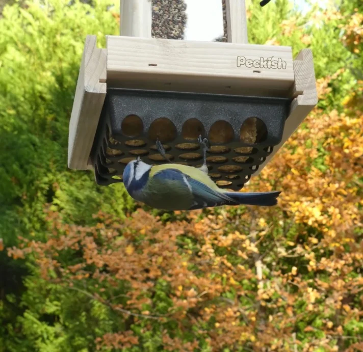 Peckish Woodland Feast Seed & Suet Cake Feeder - Image 2