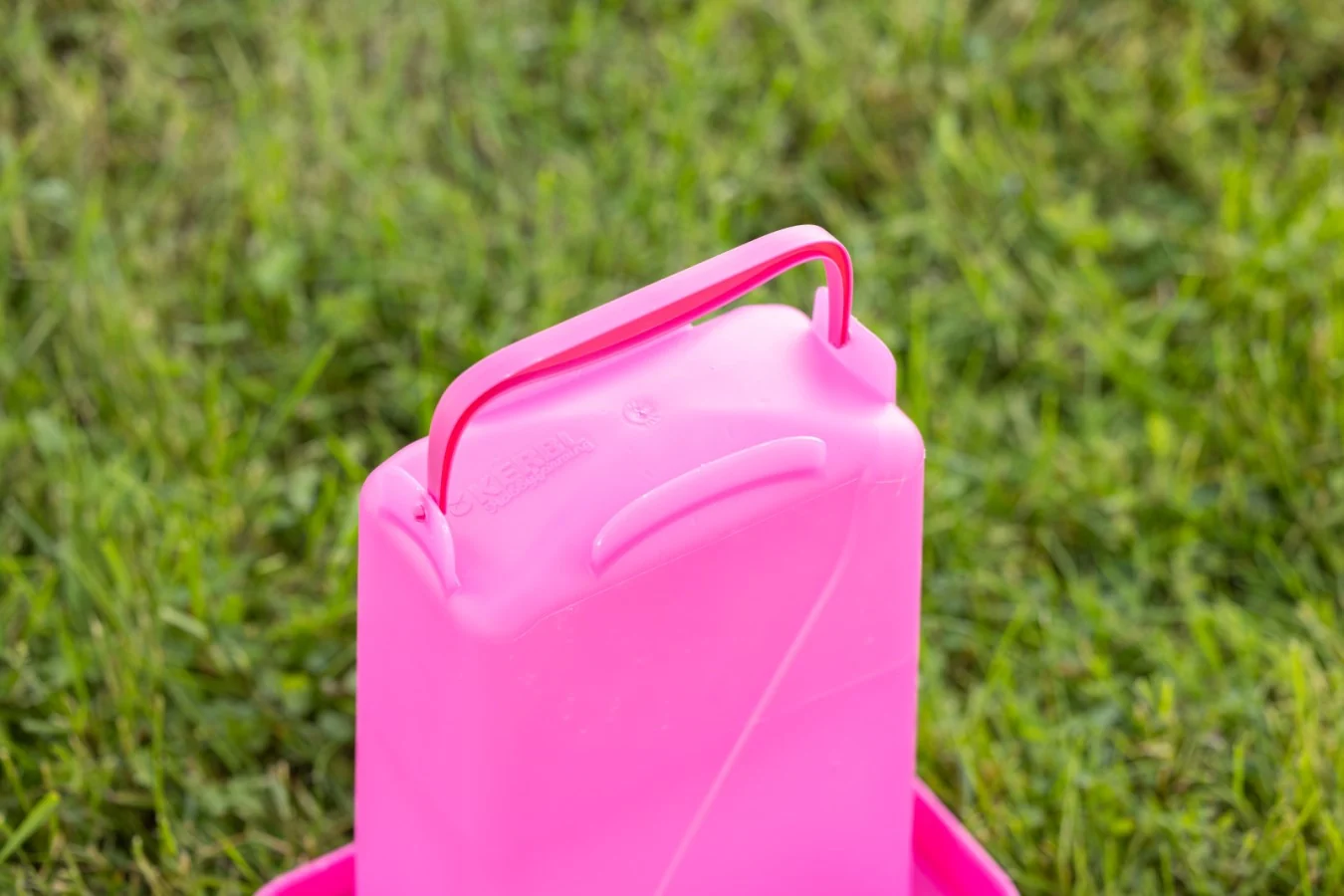Poultry Drinker With Feet 5.5 Litre Pink - Image 3