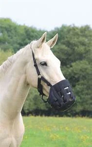 Shires Comfort Grazing Muzzle Black - Image 2