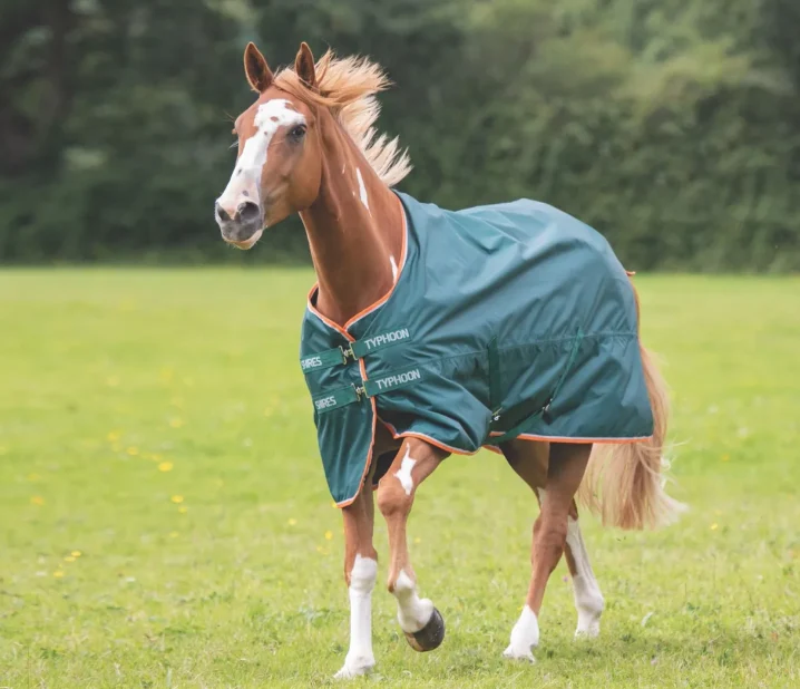 Shires Typhoon Lite Turnout Rug - Green - Image 6