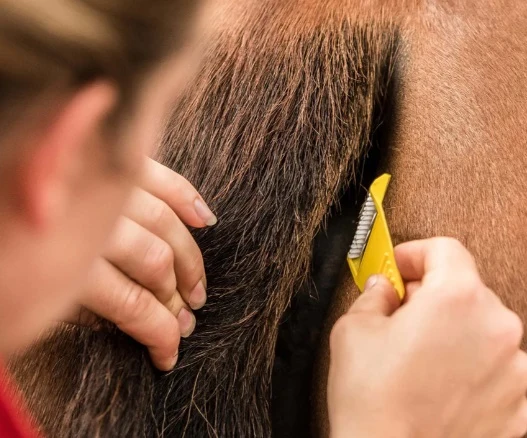 Smart Grooming Equi - Shave - Image 2