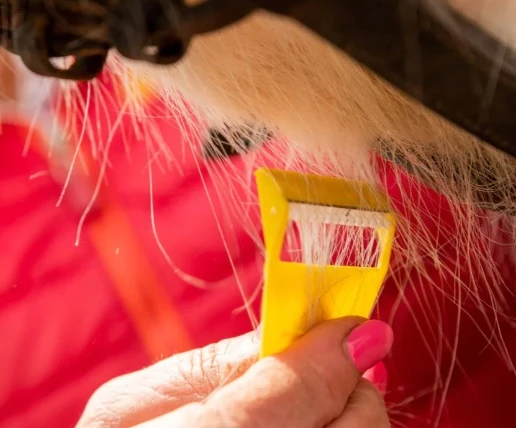 Smart Grooming Equi - Shave - Image 4
