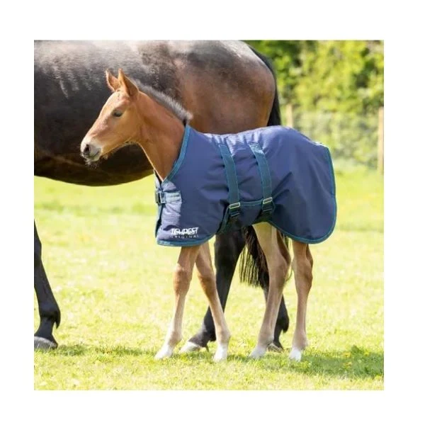 Tempest Original Foal Turnout Navy/Turquoise - Image 2