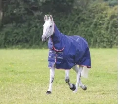 Typhoon 100 Combo Turnout Rug Navy - Image 4