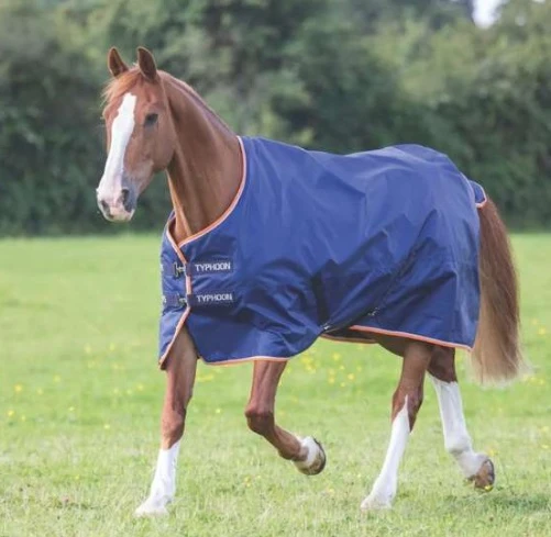 Typhoon 100 Turnout Rug Navy - Image 5