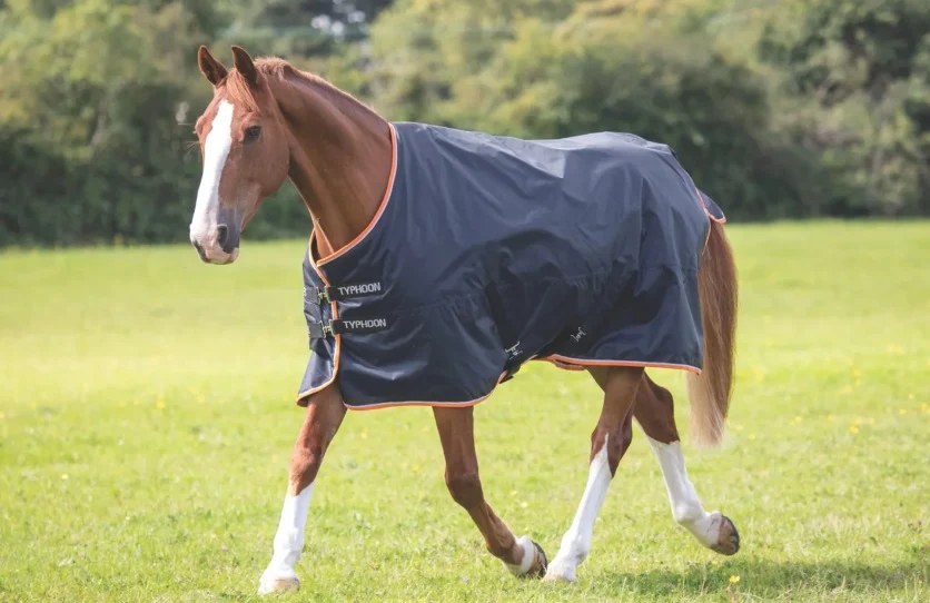 Typhoon 200 Turnout Rug Black (Pony Sizes) - Image 3