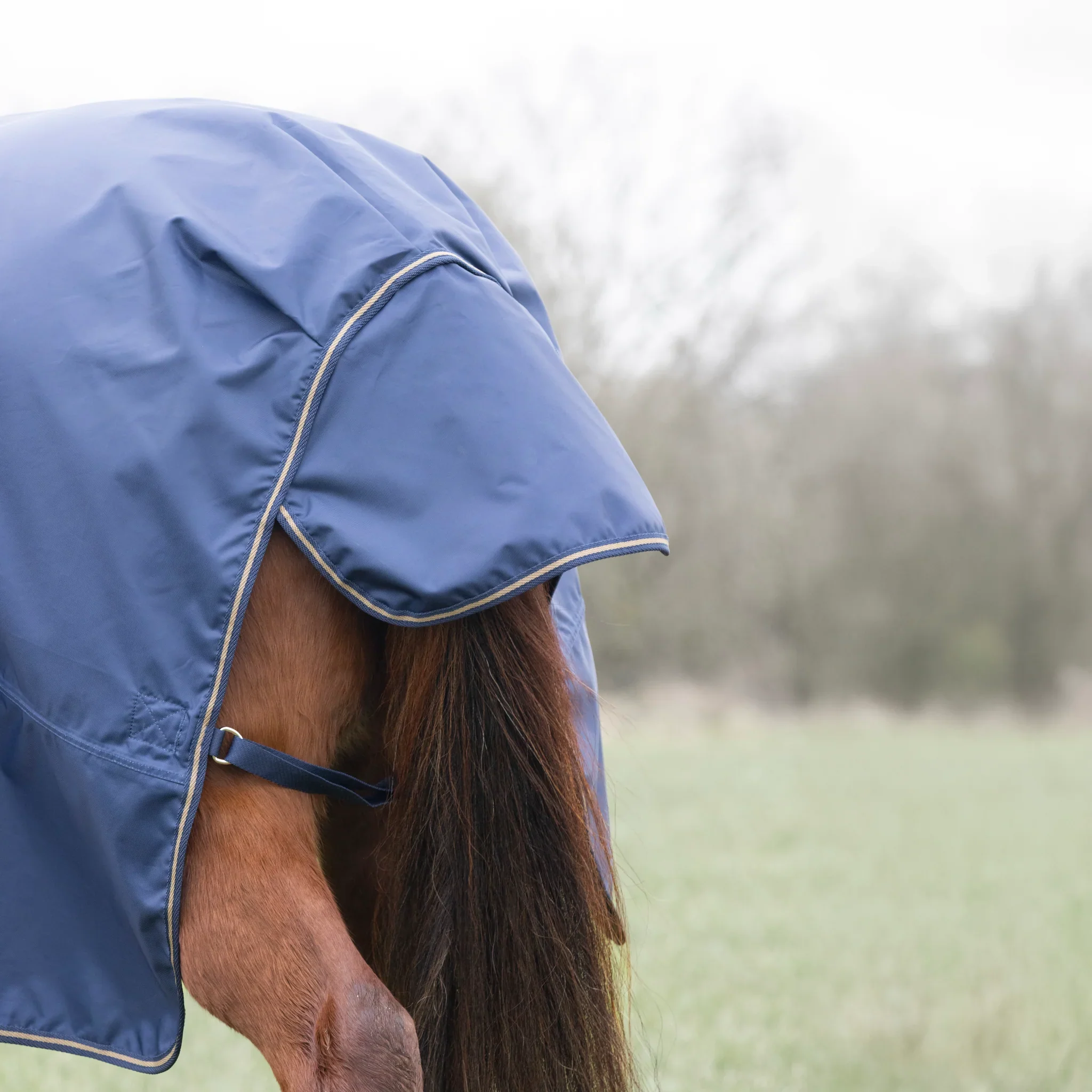 Shires Typhoon Lite Combo Turnout Rug - Image 3
