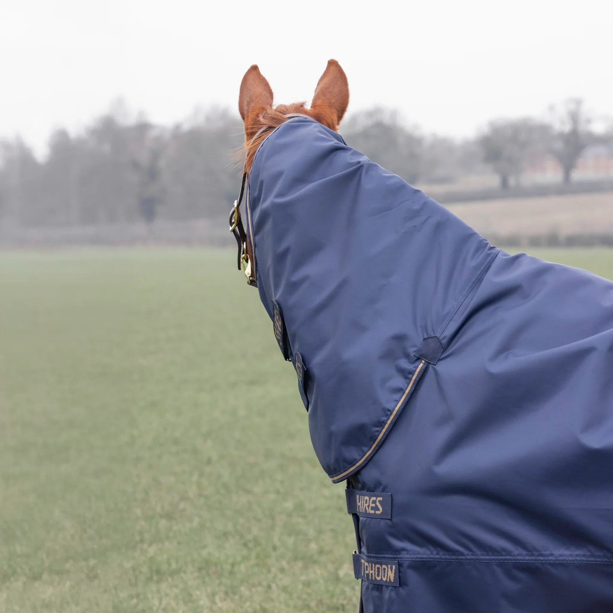 Shires Typhoon Lite Combo Turnout Rug - Image 4