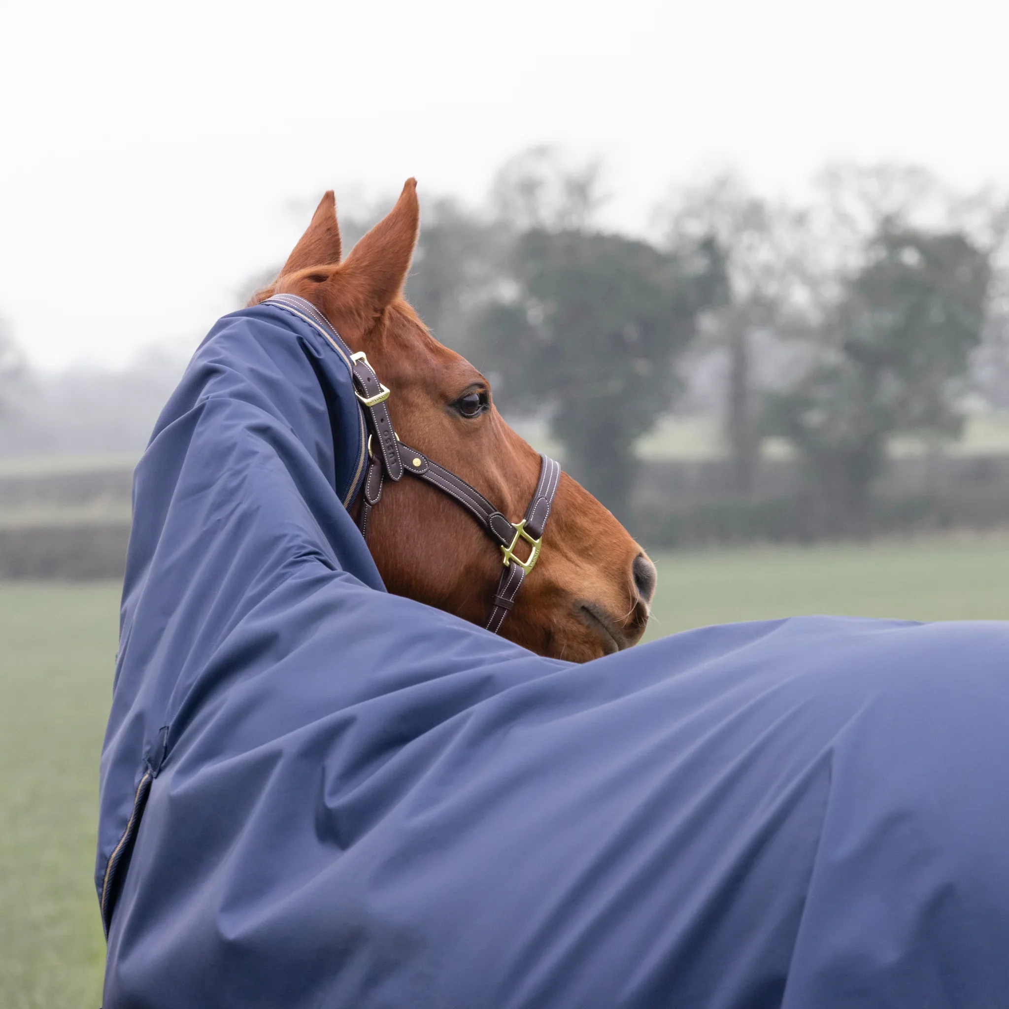 Shires Typhoon Lite Combo Turnout Rug - Image 5