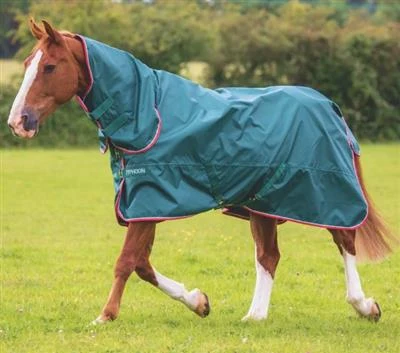 Typhoon Lite Combo Turnout Rug Green - Image 4