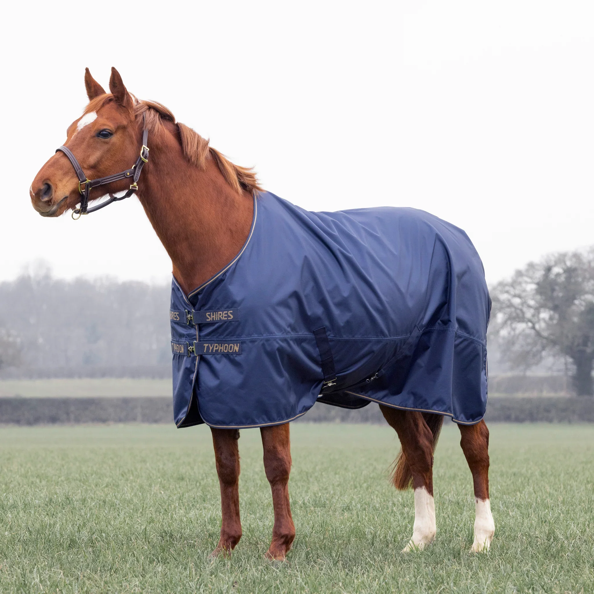 Shires Typhoon Lite Turnout Rug Navy - Image 2
